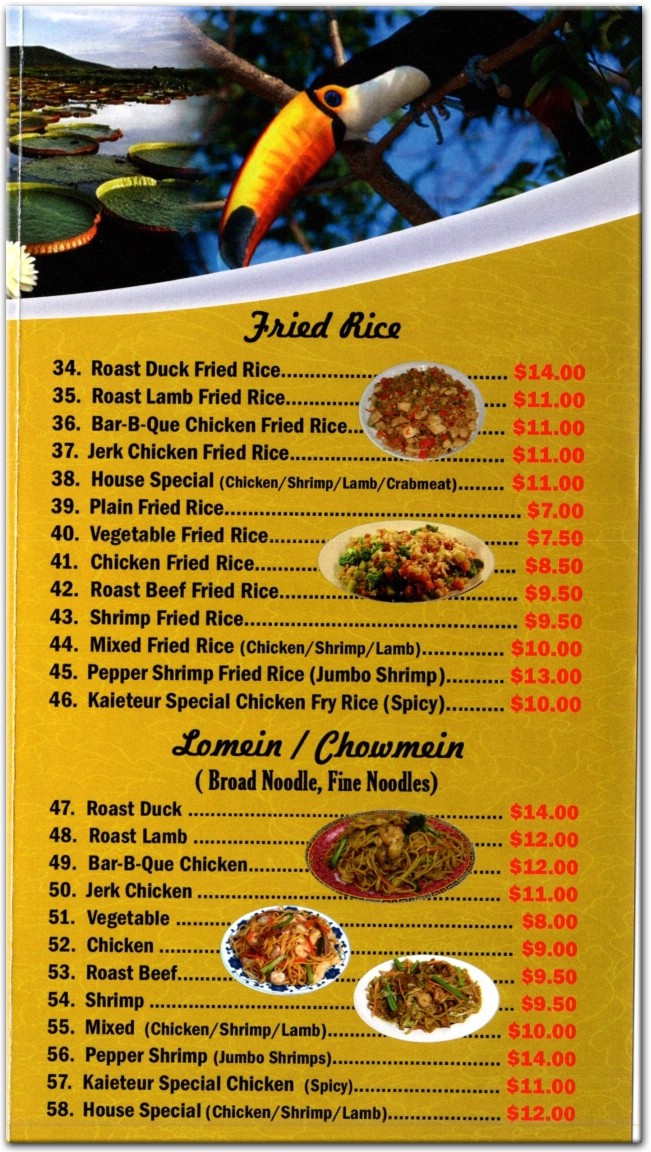 Kaieteur Restaurant in The Bronx / Official Menus & Photos